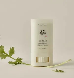 Beauty of Joseon Matte Sun Stick SPF50+ PA++++ with Mugwort and Camelia